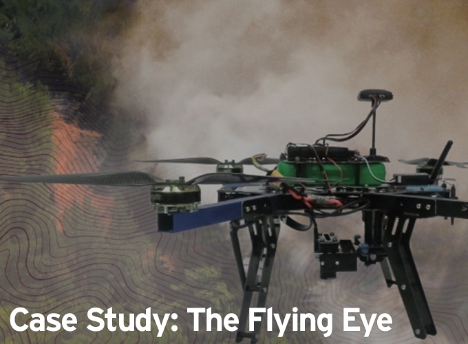 Case Study: The Flying Eye