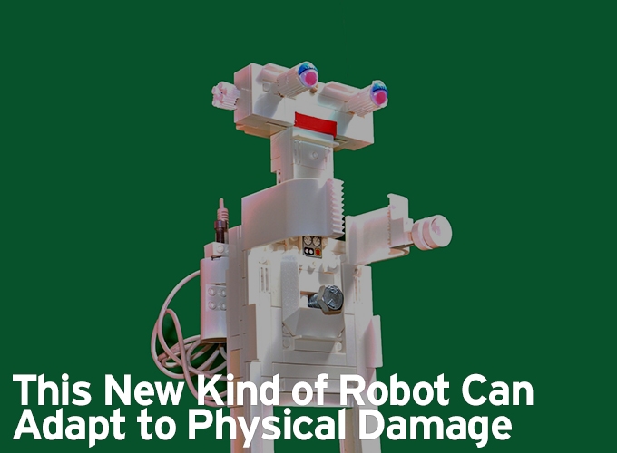 This New Kind of Robot Can Adapt to Physical Damage